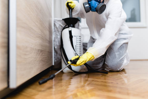 Best Affordable Pest Control Services  in , KS