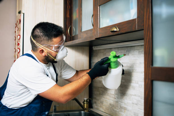 Best Affordable Pest Control Services  in , KS