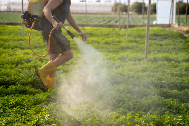 Best Pest Control for Restaurants  in , KS
