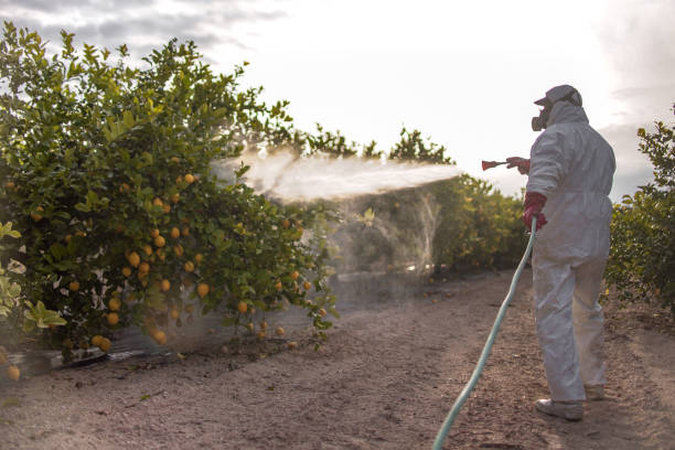 Best Mosquito Control Services  in , KS