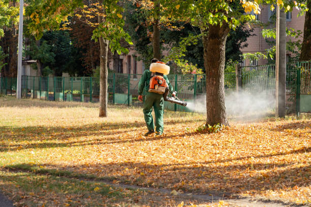 Best Pest Removal Services  in , KS