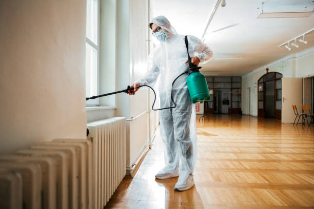 Best Flea Control Services  in , KS